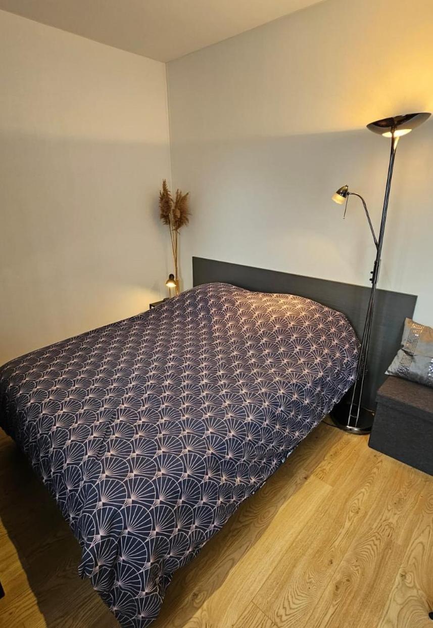 Studio Les Deux Grenouilles 5Mn De Colmar Herrlisheim-près-Colmar المظهر الخارجي الصورة